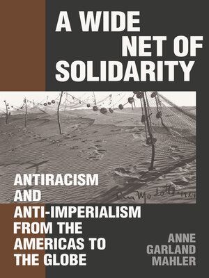 cover image of A Wide Net of Solidarity
